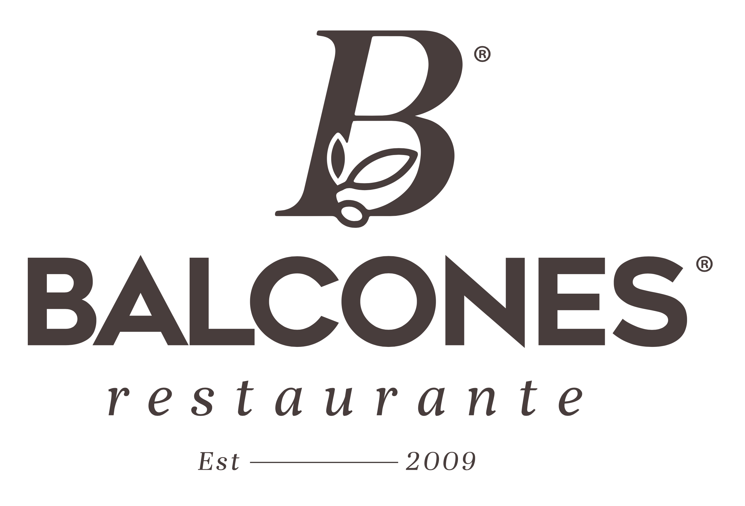 Brand Logo